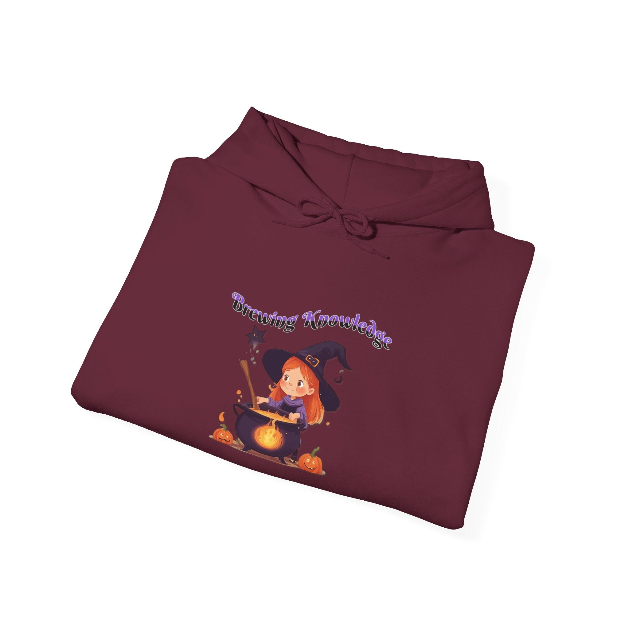 Brewing Knowledge 2 Heavy Blend™ Hooded Sweatshirt