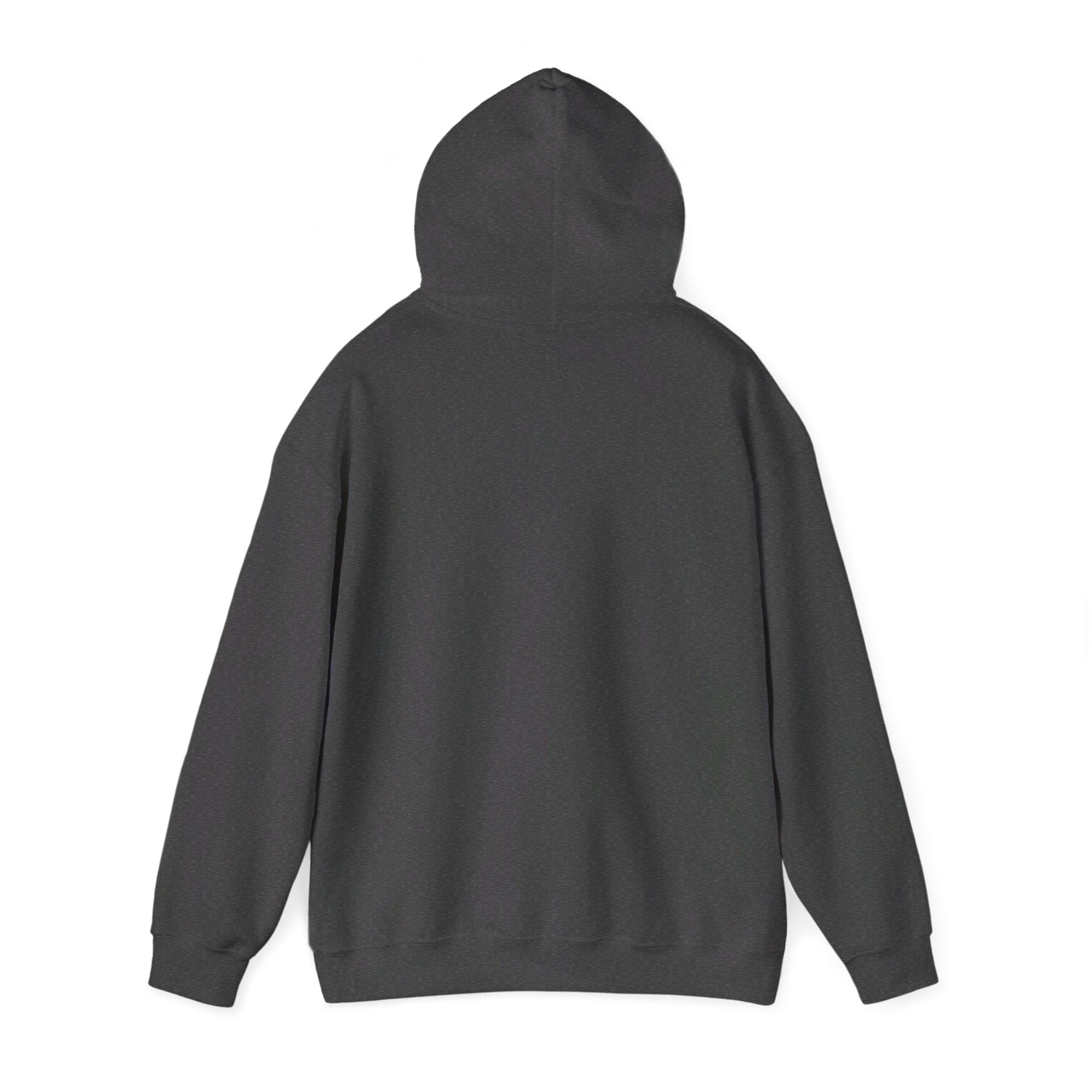 Igniting Minds Heavy Blend™ Hooded Sweatshirt